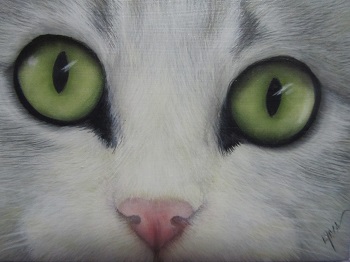 Chloe Eyes Acrylic e-Packet